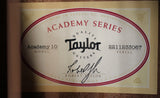 Taylor Academy 10 Dreadnought Acoustic Guitar w/Gigbag