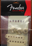 Fender Stratocaster Accessory Kit Aged White