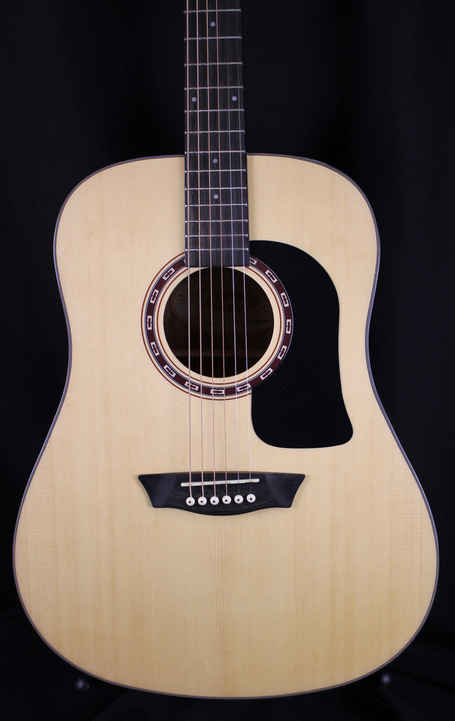 Washburn Apprentice AD5 Dreadnought Acoustic Guitar w/Case
