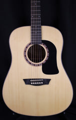 Washburn Guitars