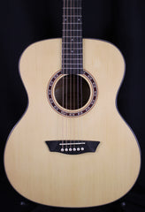 Washburn Guitars