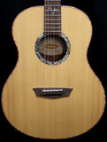 Washburn Bella Tono Elegante BTS26S Studio Acoustic Guitar Gloss Natural