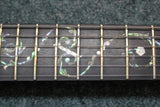 Schecter C-1 Exotic Ebony Electric Guitar Natural