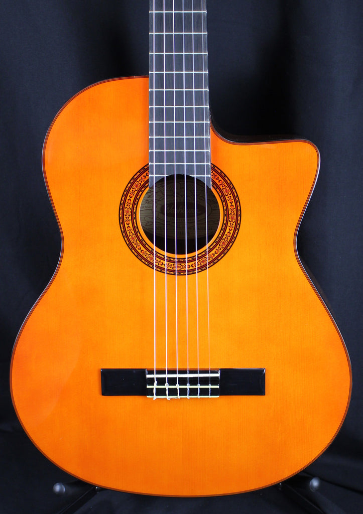 Washburn C5CE Classical Nylon Acoustic-Electric Guitar Natural