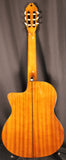 Washburn C5CE Classical Nylon Acoustic-Electric Guitar Natural
