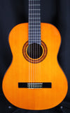Washburn C5 Classical Nylon Acoustic Guitar Natural