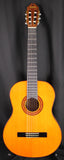 Washburn C5 Classical Nylon Acoustic Guitar Natural