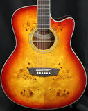 Washburn DFBACE Deep Forest Burl Acoustic-Electric Guitar Amber Fade