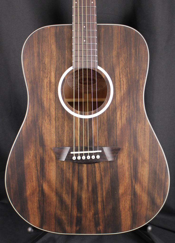 Washburn Deep Forest Ebony DFED Dreadnought Acoustic Guitar