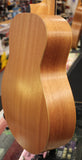 Taylor Guitars 4 Vets GS Mini Americana Special Edition Acoustic Guitar w/Hardbag