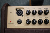 Fishman Loudbox Micro 40 watt Acoustic Guitar Amplifier
