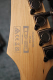 Ibanez RG Series RG470AHM Ash Body 6-String Electric Guitar Blue Moon Burst USED