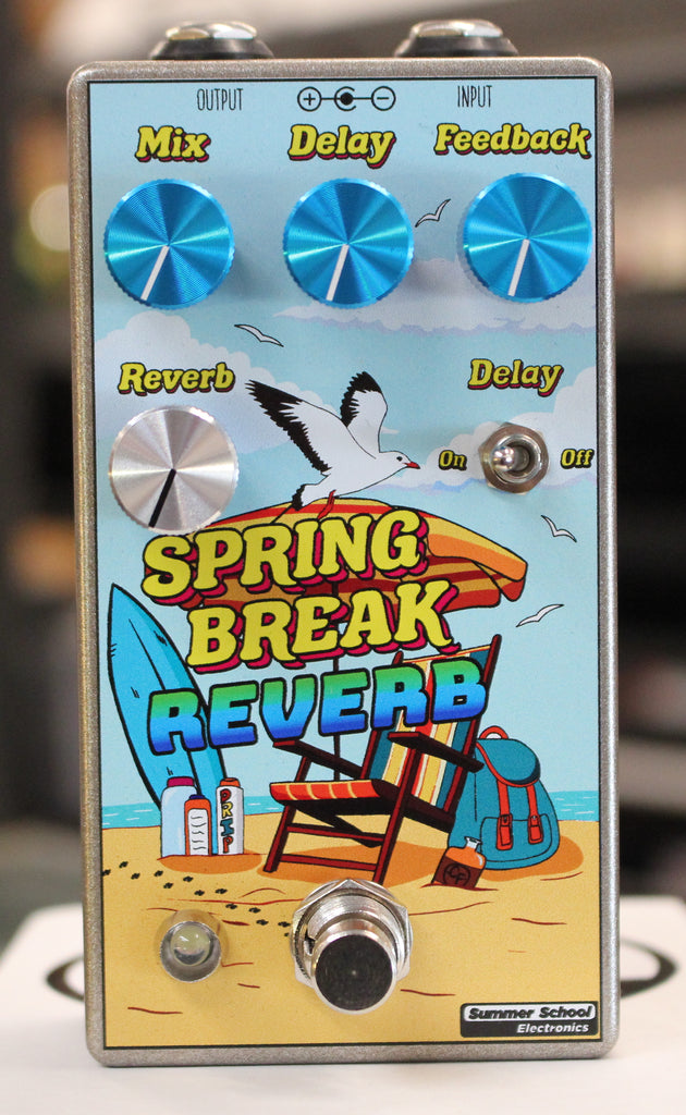 Summer School Electronics Spring Break Reverb Guitar Effects Pedal #65