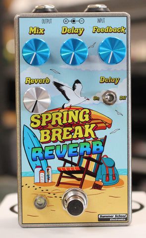Summer School Electronics Spring Break Reverb Guitar Effects Pedal #65