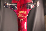 Schecter Synyster Standard Plus Floyd Rose Electric Guitar Transparent Deep Red